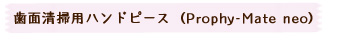 歯面清掃用ハンドピース
